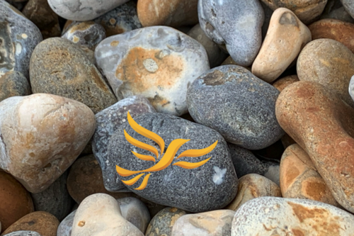 Beach Stones